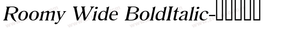 Roomy Wide BoldItalic字体转换